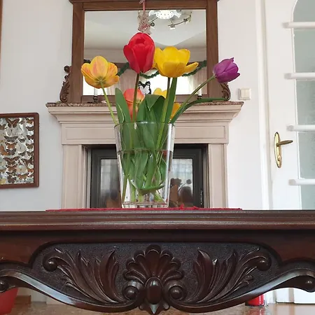 Stadium Appartamento Plovdiv